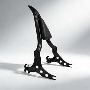 Support de dossier réglable <span class=keywords><strong>en</strong></span> métal pour passager arrière de moto - <span class=keywords><strong>Vente</strong></span> flash <span class=keywords><strong>en</strong></span> <span class=keywords><strong>ligne</strong></span> - Product Image 1