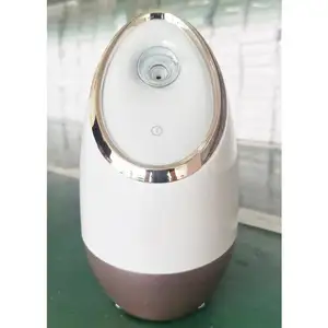 Prodotti di bellezza palmare Nano Face Spray vapore elettrico Sauna facciale Steamer