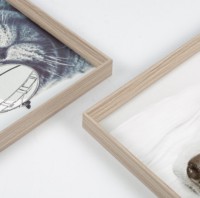 Usine directe Sofine mur Art impression moderne Animal chien chat peinture nordique enfant chambre décoration photos