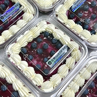 Boîtes à gâteaux, pâtisseries, biscuits et sandwichs en plastique PET transparent de haute qualité, jetables, avec couvercles