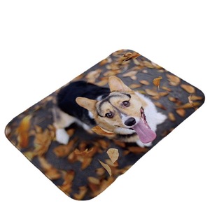 Tapis de sol rectangulaire imprimé chat, antidérapant, absorbant, pour chambre à coucher, salle de bain, décoration de la maison - Product Image 5