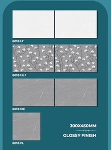 กระเบื้องเซรามิกเคลือบเงาทันสมัย ขนาด 300x450 มม. สำหรับผนังและพื้น กันลื่น ทนกรด ตกแต่งภายในสไตล์โมเดิร์น - Product Image 1