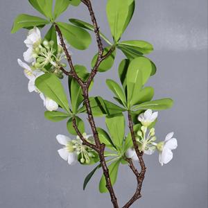 Rama de Flores Artificiales Meng Jie Pittosporum Tobira, Flores de Seda Blancas y Rosas para Decoración del Hogar y Bodas - Product Image 4
