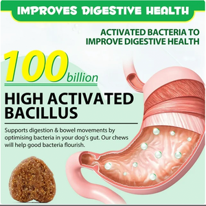 OEM/ODM probiótico natural masticables suaves alimentos para mascotas y suplementos para perros golosinas proveedores de aperitivos para la salud intestinal de las mascotas - Product Image 4