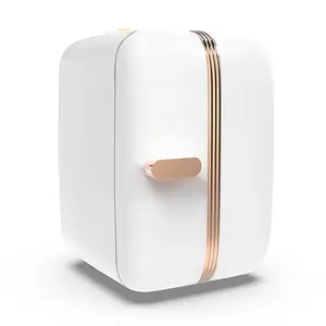 Produzione di raffreddamento ad aria portatile elettrico retrò piccola bellezza spina europea trucco cura della pelle frigorifero cosmetico 7L Mini frigo