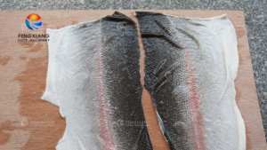 Macchina per rimuovere la pelle di pesce GB-270 macchina per sbucciare il salmone - Product Image 3