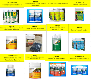 Duivensport Drie-in-één Ontsteking Enteritis 120 Pillen voor Efficiënt Resultaat - Product Image 6