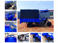 Tricycle motorisé à 3 roues pour passagers et marchandises, 250cc, carrosserie fermée, moteur refroidi par air, charge utile de 400 kg, puissance de plus de 1000 W