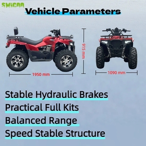 Vehículo Todoterreno de Alto Rendimiento de 300 CC, Vehículo Utilitario <span class=keywords><strong>ATV</strong></span> <span class=keywords><strong>para</strong></span> Experiencias de Aventura - Product Image 3