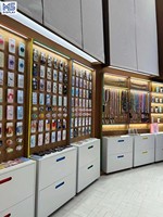 Vente en gros usine : Étui de protection pour iPhone 17 Pro Max, coque arrière de téléphone portable, vitrine de présentation pour magasin en centre commercial