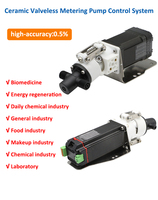 Shanghai Jishen Micro líquido bomba de pistón de alta viscosidad bomba dosificadora de cerámica de acero inoxidable bomba de transferencia de alta eficiencia