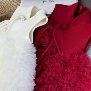 Traditional Chinese Girls Dress Wool Mesh Princess New Year Style With Buttons - Product Image 2