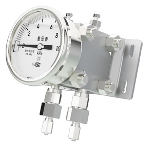 Manómetro Diferencial de Alta y Baja Presión de -100kpa~100kpa, Manómetro Diferencial WTR - Product Image 2