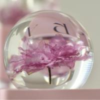Lovebay Usine En Gros Naturel Éternelle Rose Fleur Lumière dans une Boîte Cadeau Lourd Rose Fleur De Cerisier Cadeaux De Mariage pour Les Invités