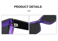 Lunettes de soleil de créateur pour femmes Wenzhou Lenlook avec logo personnalisé, polarisées UV400, style œil de chat, pour l'extérieur et la mode