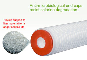 Bộ Lọc Nước 0.2 Micron Giấy Có Lưu Lượng Cao Bộ Lọc Xếp Li Lõi Lọc Carbon Xếp Li - Product Image 4
