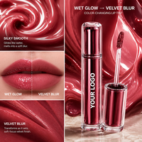 Gloss à lèvres et rouge à lèvres : estompe les ridules, texture velours légère, maquillage des lèvres vibrant, hydratant et longue tenue, marque privée