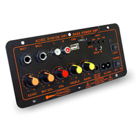 Carte d'amplificateur de puissance BT pour voiture 100W Home audio K song outdoor subwoofer power amplifier board