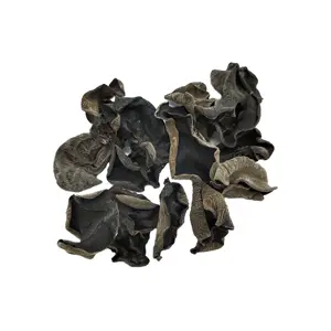 Hongo Negro Seco, Hongo de Oreja de Madera Negra Pequeño, Hongo Agaric - Product Image 1