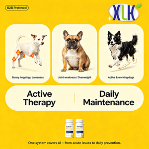 Paquete Combinado de Suplementos Articulares para Mascotas de Marca Privada: Reparación Activa y Cuidado Diario con Glucosamina y Condroitina para Perros y Gatos - Product Image 4