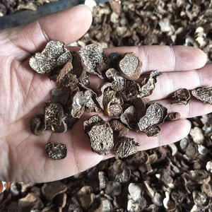 Jamur liar Yunnan potongan Truffle hitam mentah dan kering diproses satu bagian untuk Dropshipping - Product Image 6