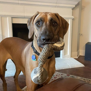 Dayanıklı naylon köpek interaktif dambıl şekilli düğüm halat kombinasyonu agresif köpek için ip oyuncak Molar çiğnemek oyuncak pamuk köpek oyuncak halat - Product Image 1