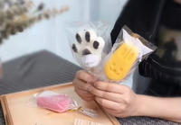 Sacs d'emballage DIY pour bâtonnets glacés, hautement transparents, à soufflet latéral, résistants à l'humidité, thermoscellables, en PE, imprimés par gravure, pour produits surgelés