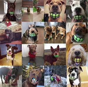 Interactive Cute Fashion <b>Dog</b> Chew Toy <b>Balls</b> Bruxism Novelty Vinyl <b>Ball</b> Vocal Colorful Tooth Pattern Design Squeaky Sound Daily - Product Image 4