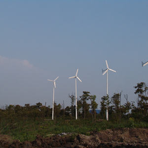 Лидер продаж, китайский завод, 1000 Вт, 2000 Вт, 2500 Вт, ветряная турбина, ветряная мельница 48 В с автономным контроллером для дома - Product Image 3