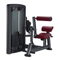Haute qualité vente chaude musculation équipement de force machine commerciale équipement de fitness de gymnastique extension de dos