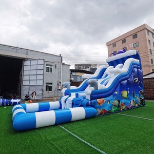Commercial Inflatable PVC Water <strong>Slide</strong> with <strong>Swimming</strong> <strong>Pool</strong> for Kids &amp; Adults Double Lane Customizable Color &amp; Logo Custom Size - Product Image 4