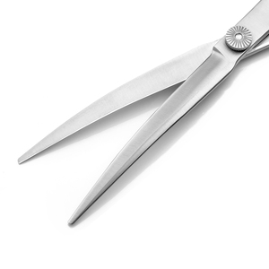 Professional Stainless Steel Pet Grooming Scissors <strong>Shears</strong> for Cat and <strong>Dog</strong> MLP303 - Product Image 5