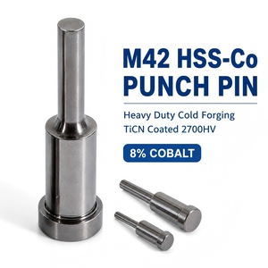 M42 hss-Co 1.3247หมุดเจาะขึ้นรูปเย็น2700HV เคลือบ ticn ที่เจาะรูความแข็งสูงสำหรับงานหนัก - Product Image 1