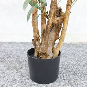 <span class=keywords><strong>Olivier</strong></span> artificiel <span class=keywords><strong>en</strong></span> soie multi-troncs sur mesure avec tiges <span class=keywords><strong>en</strong></span> bois véritable - Product Image 6