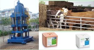 산업용 동물용 소금 블록 프레스 YST 500 고정밀 성형 장비 - Product Image 3