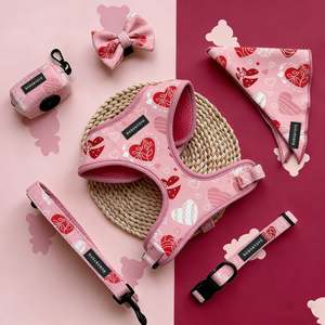 <span class=keywords><strong>2026</strong></span>年バレンタインデー エコフレンドリーデザイン プライベートラベル カスタムプリント 調整可能 ノープル ペット犬用ハーネス リード 首輪セット - Product Image 3