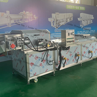 Machine de pasteurisation à bain-marie continu pour aliments, légumes, fruits, lait en sachet, jus, nouilles, machine de refroidissement