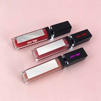 Gloss à lèvres LED avec miroir, logo personnalisé, végan, haute qualité, rouge à lèvres liquide waterproof, non collant, tubes de gloss à lèvres vides