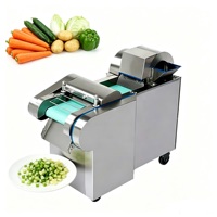 Automatische groentesnijmachine, snijmachine voor het snijden van uien, kool, wortelen, aardappelen, capaciteit 350 kg/uur