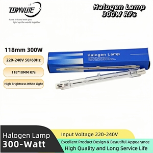 Lampe <span class=keywords><strong>halogène</strong></span> R7S à haute luminosité, blanc froid, <span class=keywords><strong>300W</strong></span>, 118mm, <span class=keywords><strong>tube</strong></span> en quartz 220-240V pour éclairage de studio et de construction, OEM - Product Image 6