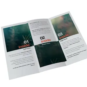 Gedruckter Werbe flyer/Faltblatt/Katalog/Broschüre Drucken, Günstiger Broschüren drucks ervice