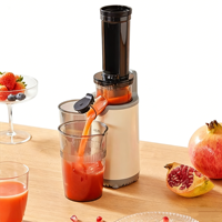 Elektrische slowjuicer-extractor Machine Hoog rendement roestvrij staal 300 ml capaciteit Vruchtensapmaker voor thuis commercieel gebruik