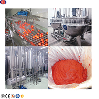 Pâte de tomate Offre Spéciale à petite échelle faisant l'usine de traitement de machine