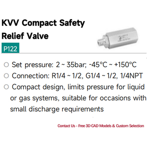 Válvula de Alivio de Presión de Acero Inoxidable EAGLE, Válvula de Seguridad Compacta de Baja Elevación Ajustable para Líquidos y Gases BSP NPT - Product Image 2