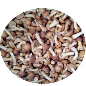יצוא קפוא nameko פטריות עבור קונים - Product Image 1
