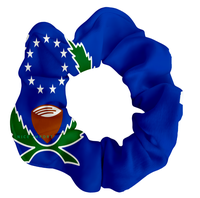 Élastiques à cheveux avec drapeau de Pohnpei pour femmes, filles et enfants, élastiques à cheveux patriotiques, queues de cheval, accessoires pour cheveux, décorations pour la Journée nationale