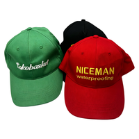 Cappellini da Baseball in Cotone a 6 Pannelli con Ricamo Personalizzato, Cappelli con Logo all'Ingrosso, Cappello da Baseball Non Strutturato Stile Dad Hat