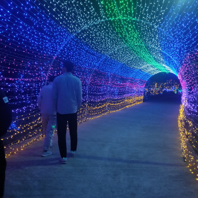 Hot Sale Led Christmas Decoration Holiday Cluster Light String Light