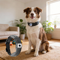 Collier GPS sans fil miniature professionnel pour animaux de compagnie, appel automatique, suivi d'activité, traceur GPS pour chien avec application iOS et Android