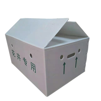 Boîte de rangement pliable robuste personnalisée, matériau PP empilable réutilisable pour déménagement de vêtements, livraison logistique